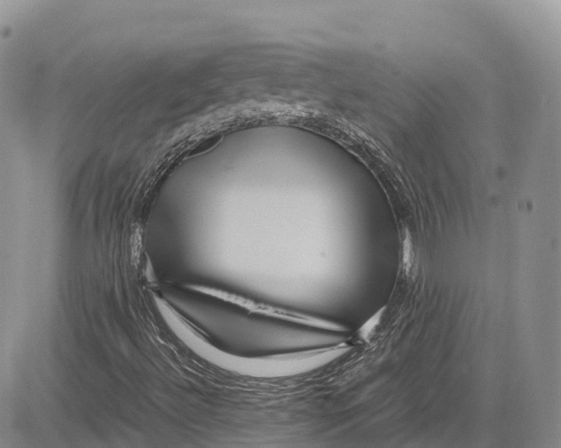 X0000081611492200702051341