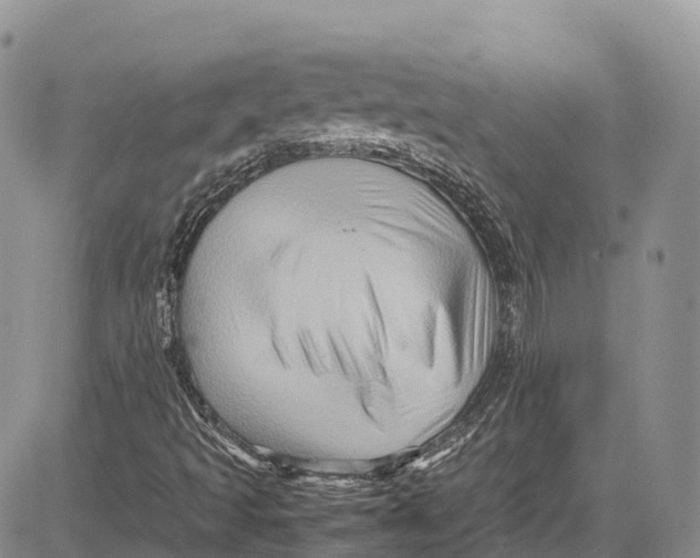 X0000081611493200702051341