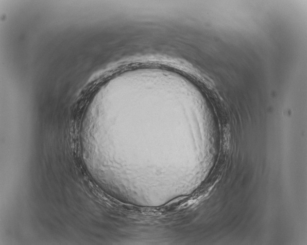 X0000081611494200702051341