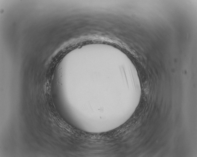 X0000081611495200702051341