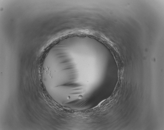 X0000081611496200702051341