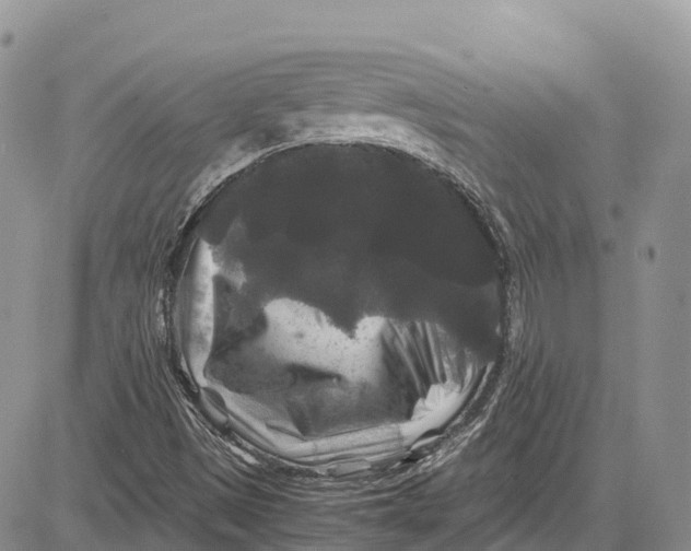 X0000081611497200702051341