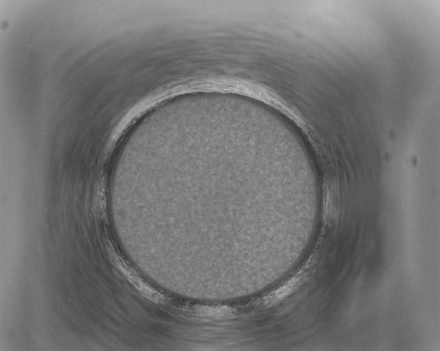 X0000081611498200702051341