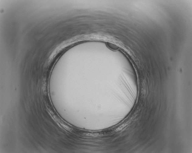 X0000081611499200702051341