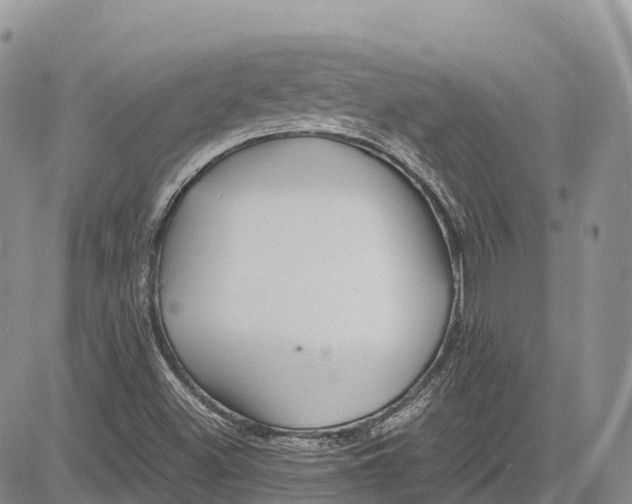 X0000081611500200702051341