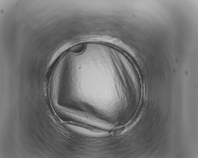 X0000081611501200702051341