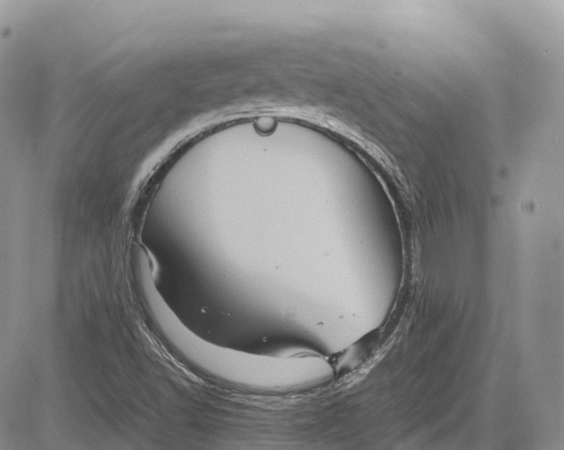 X0000081611502200702051341