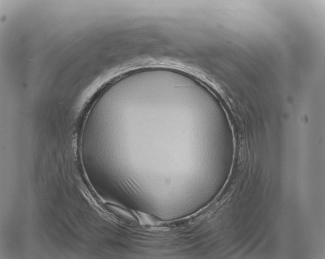 X0000081611503200702051341