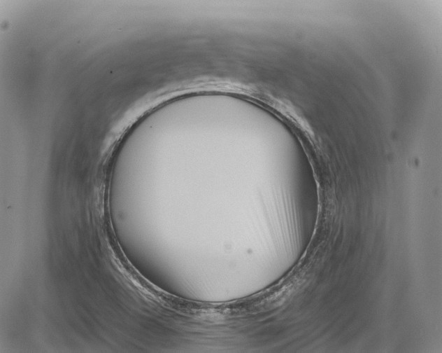 X0000081611504200702051341