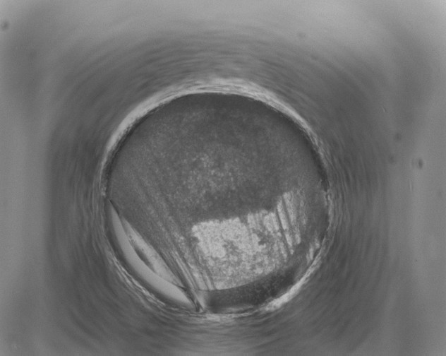 X0000081611506200702051341