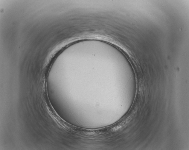 X0000081611507200702051341