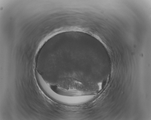 X0000081611508200702051341