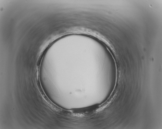 X0000081611509200702051341