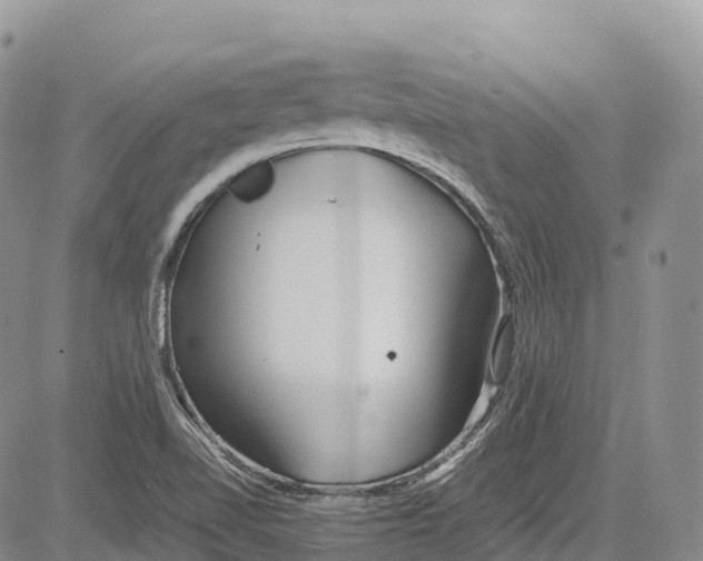 X0000081611510200702051341