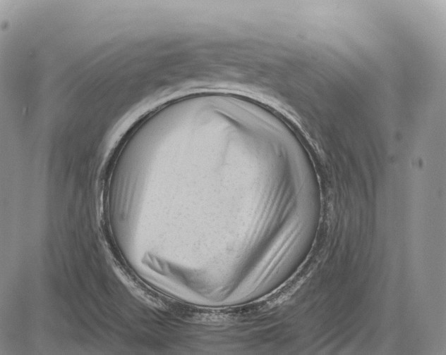 X0000081611511200702051341