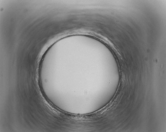 X0000081611512200702051341