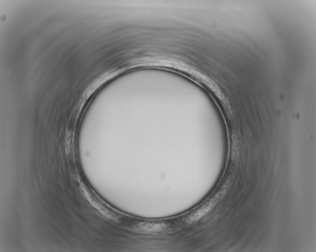 X0000081611513200702051341