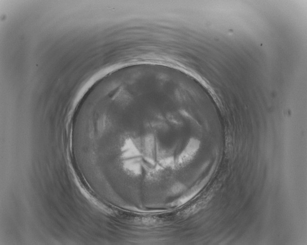 X0000081611515200702051341