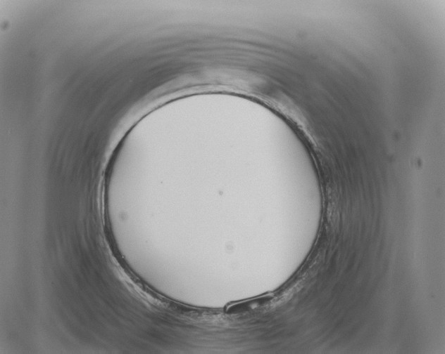 X0000081611516200702051341