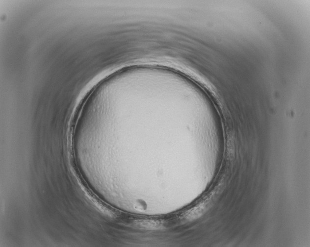 X0000081611517200702051341