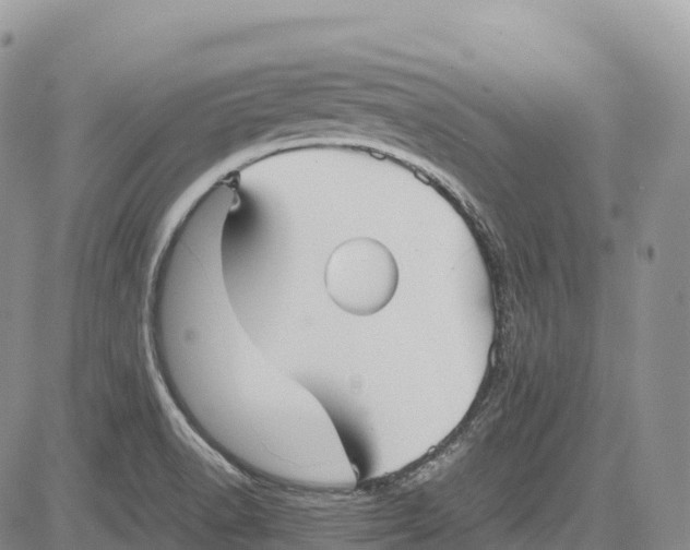 X0000081611518200702051341