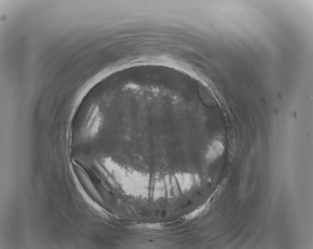 X0000081611519200702051341