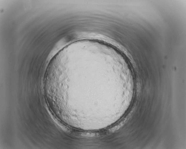 X0000081611521200702051341