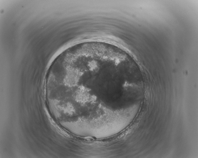 X0000081611522200702051341