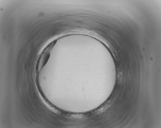 X0000081611523200702051341