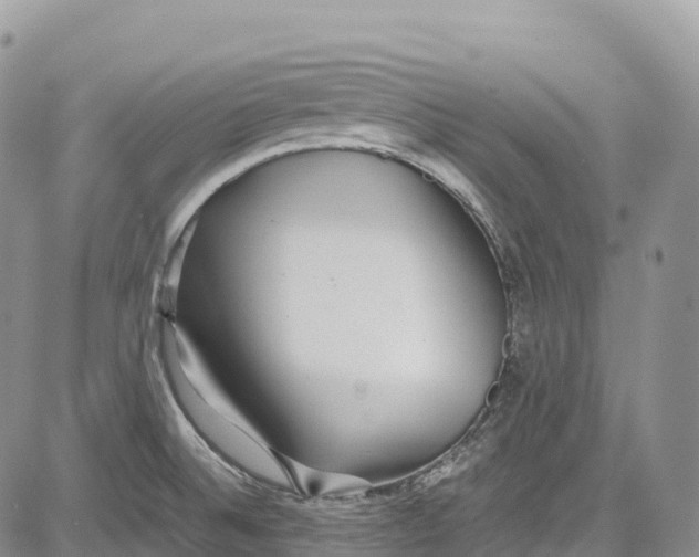 X0000081611524200702051341