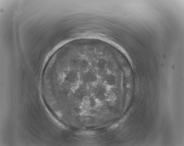 X0000081611525200702051341