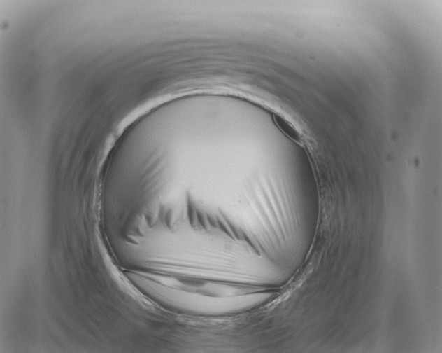 X0000081611526200702051341