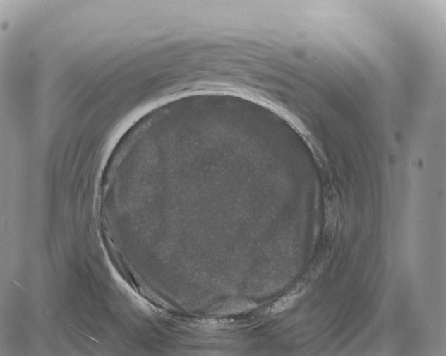 X0000081611527200702051341