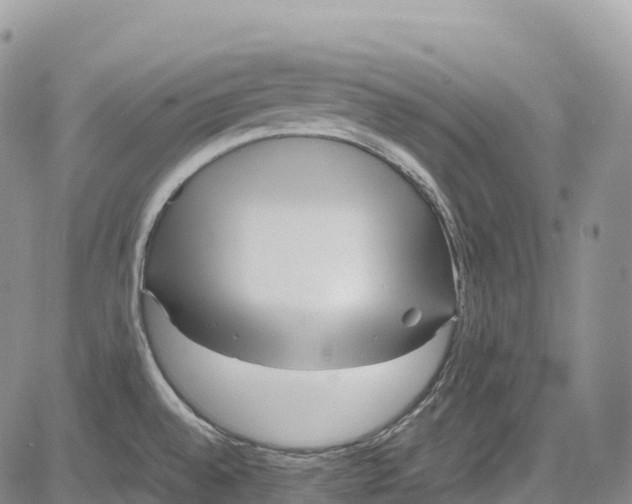 X0000081611528200702051341