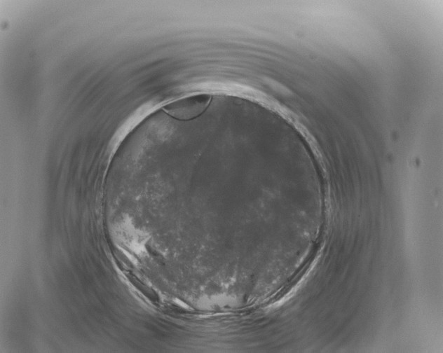 X0000081611529200702051341