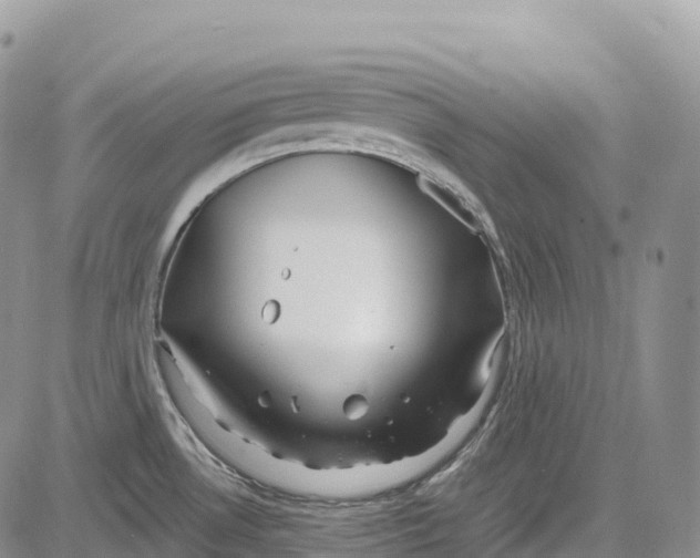 X0000081611530200702051341