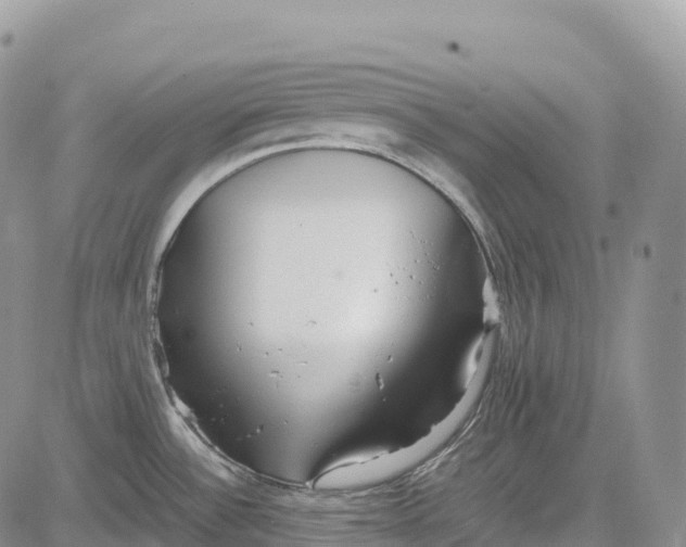 X0000081611532200702051341