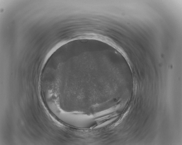 X0000081611533200702051341