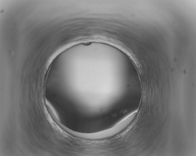 X0000081611534200702051342