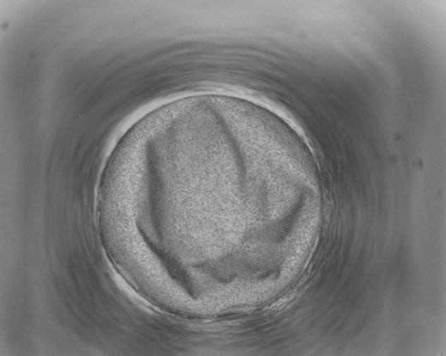 X0000081611535200702051342