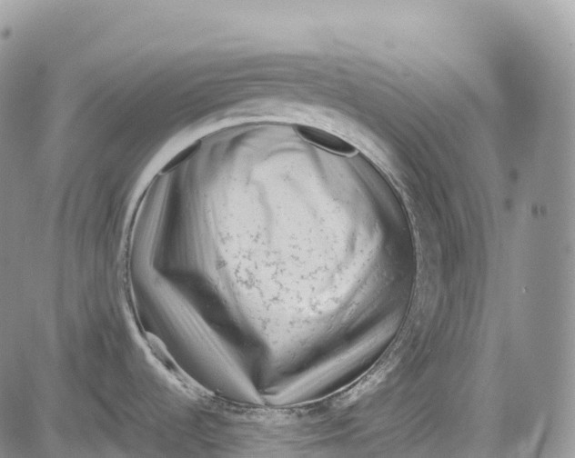 X0000081611536200702051342