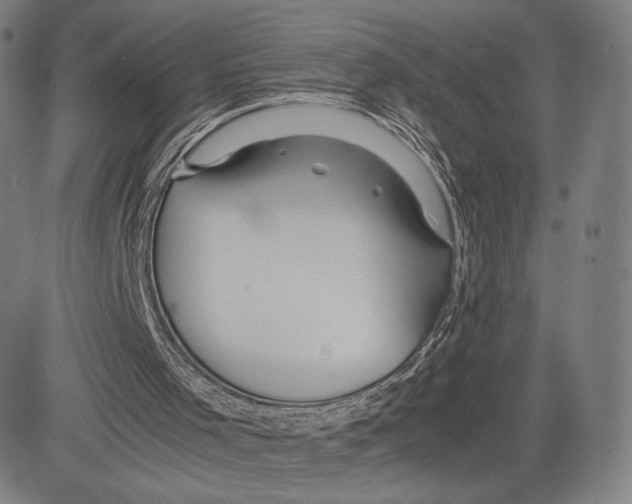 X0000081610001200702121626