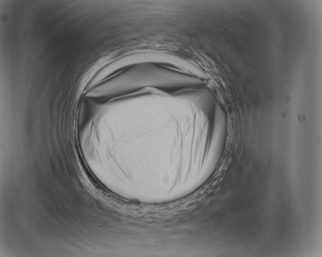 X0000081610003200702121626