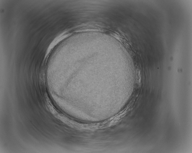 X0000081610004200702121626