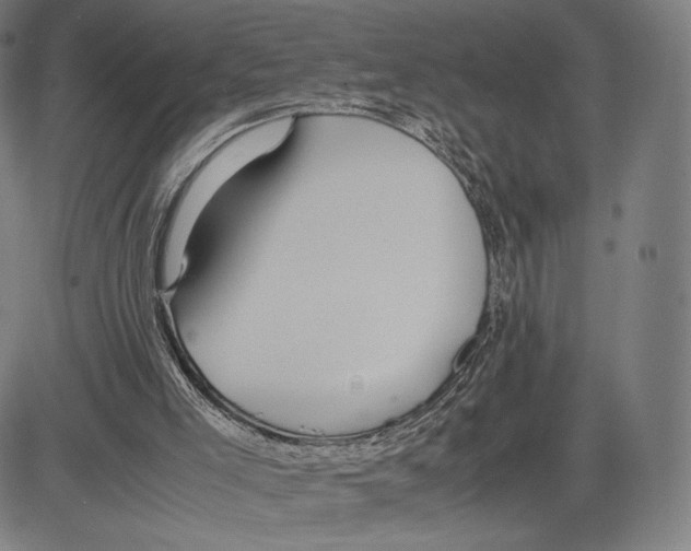 X0000081610005200702121626