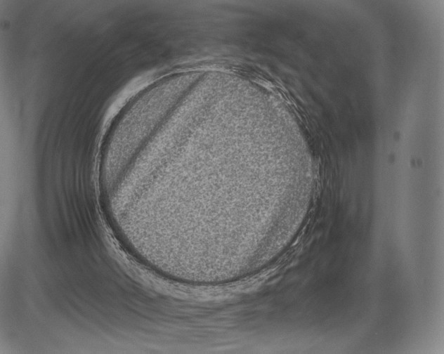 X0000081610006200702121626