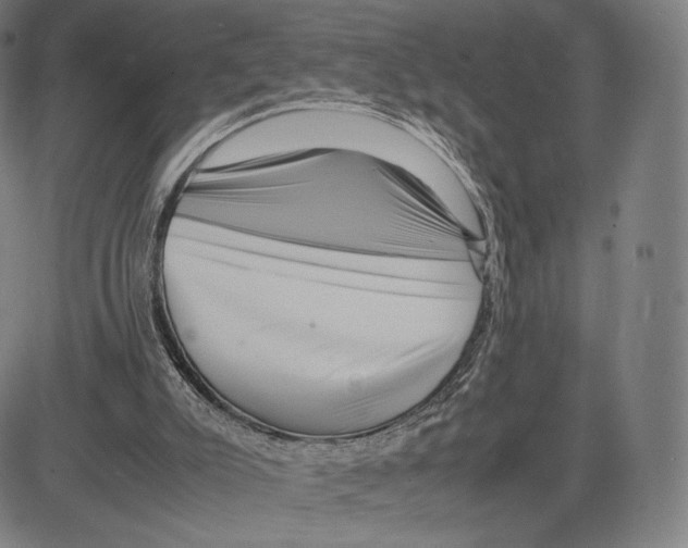 X0000081610007200702121626