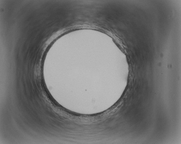 X0000081610008200702121626