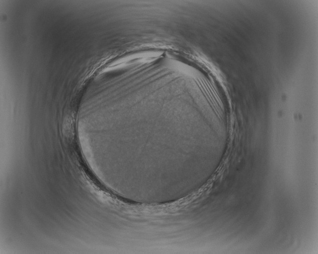 X0000081610009200702121626