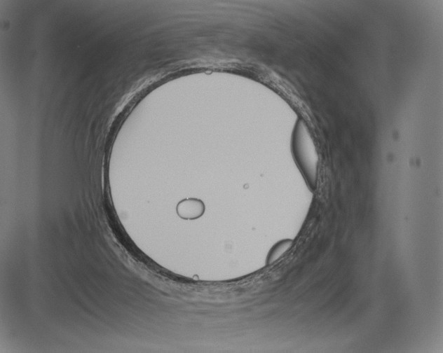 X0000081610011200702121626